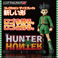 �A�N�������S�f�B�X�v���CEX  HUNTER�~HUNTER (�S2�F)