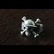 Silverware collection ring 01 : Jolly Roger ̈ꖡ@rTCYi12j