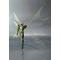 S.H.Figuarts ʃC_[W TCNW[J[S[hGNXg[