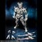S.H.Figuarts Rm T