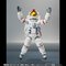 S.H.Figuarts F(OSTO)