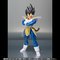 S.H.Figuarts xW[^