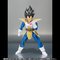 S.H.Figuarts xW[^