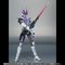 S.H.Figuarts ʃC_[lKd