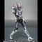 S.H.Figuarts ʃC_[d KtH[d bhtH[