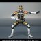yủăR 2014v񎟒I̔zS.H.Figuarts ʃC_[d AbNXtH[