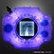 Complete Selection Animation fW@CXy2016N3z