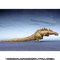 S.H.MonsterArts SWi2016j 2`ԁ3`ԃZbg