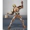 yI̔zS.H.Figuarts ʃC_[Oh hOA[Y