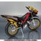 yI̔zS.H.Figuarts r[g`FCT[2000