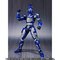 yI̔zS.H.Figuarts u[r[g