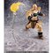 S.H.Figuarts ibp