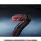 S.H.MonsterArts SWi2016j4`ԊoVer.y2F2017N8z