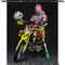 S.H.Figuarts ʃC_[[U[ oCNQ[}[ x2