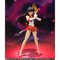 S.H.Figuarts X[p[Z[[}[Y