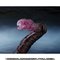 yI̔zS.H.MonsterArts SWi2016j4`ԊoVer.y3F2017N9z