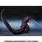 yI̔zS.H.MonsterArts SWi2016j4`ԊoVer.y3F2017N9z