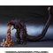 yI̔zS.H.MonsterArts SWi2016j4`ԊoVer.y3F2017N9z