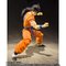 S.H.Figuarts `