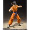 S.H.Figuarts `