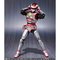 yI̔zS.H.Figuarts WXsI