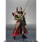 yI̔zS.H.Figuarts [hEo
