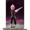 S.H.Figuarts SNEubN