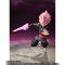 S.H.Figuarts SNEubN