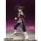 S.H.Figuarts SNEubN