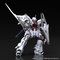 HGBF 1/144 @CXViW