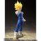 S.H.Figuarts lxW[^