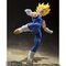 S.H.Figuarts lxW[^