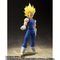 S.H.Figuarts lxW[^
