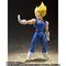 S.H.Figuarts lxW[^