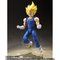 S.H.Figuarts lxW[^