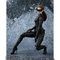 S.H.Figuarts LbgE[}iThe Dark Knight Risesj