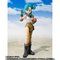 S.H.Figuarts u}