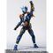 S.H.Figuarts ʃC_[O[gN[Y