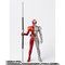 S.H.Figuartsi^@j ʃC_[W q[g^