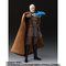 S.H.Figuarts hD[N[