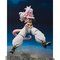 S.H.Figuarts ll21