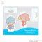 ⍰~Sanrio characters AN}XRbgv[g