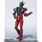 y撅̔zS.H.Figuarts ubhX^[N