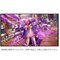 PS4 ONE PIECE Co4