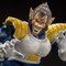 S.H.Figuarts 剎xW[^