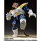 S.H.Figuarts 剎xW[^