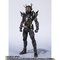 S.H.Figuarts ʃC_[^rh