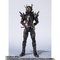 S.H.Figuarts ʃC_[^rh