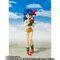 S.H.Figuarts `
