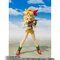 S.H.Figuarts `